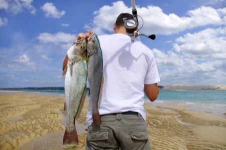 angler on the beach with catch back view