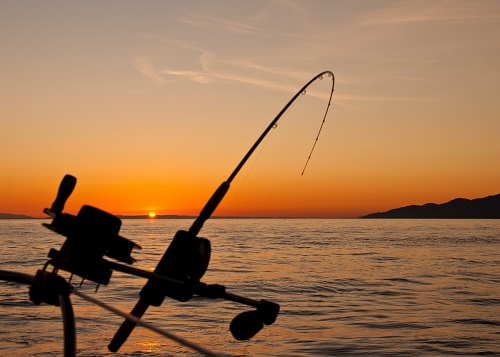 bent rod against the sunset