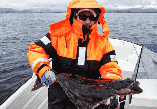 angler caught halibut