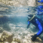 Spearfishing Diver Swimming in Shallow Sea Water