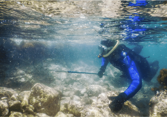 Spearfishing Diver Swimming in Shallow Sea Water