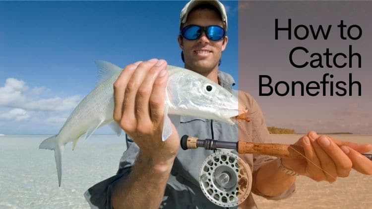 angler caught bonefish with fly rod and reel